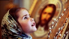 О крестном ходе, иконах и благодати