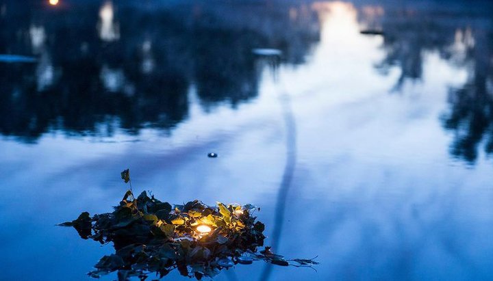Фото: podrobnosti.ua