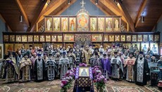 РПЦЗ в Америке обратилась к властям США с просьбой защитить УПЦ
