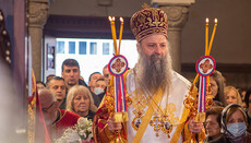 Serbian Patriarch congratulates UOC Primate on his ordination anniversary