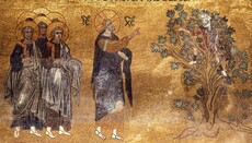 There are bloodstains leading to the Zacchaeus tree
