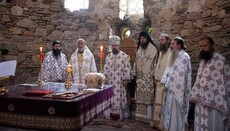 У Струмиці митрополит УПЦ співслужив з ієрархами Македонської Церкви