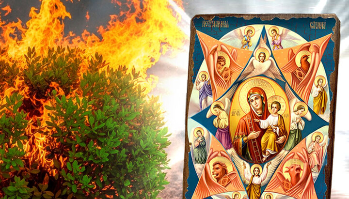 The "Unburnt Bush" icon abounds with theological symbolism. Photo: UOJ