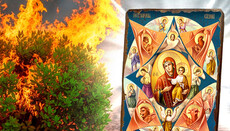 Theological meaning of the "Unburnt Bush" icon