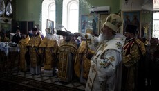 Християнській Європі я кажу «так», Європі геїв – «ні», – єпископ Молдови