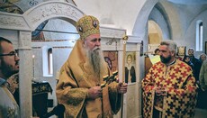 Митрополит Чорногорський: Молимося про примирення України та Росії