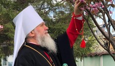Μητροπολίτης Θεόδωρος κάλεσε να μην αλλοιώνεται το νόημα και η σημασία των αποφάσεων της Συνόδου της Ουκρανικής Ορθόδοξης Εκκλησίας (УПЦ)