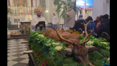 Στην καθολική εκκλησία της Λετονίας κατά τη διάρκεια της λειτουργίας εκτέθηκε το σώμα ενός σκοτωμένου ελαφιού