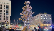 На Майдані встановили 7-метровий дідух як заміну Різдвяній ялинці