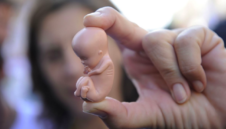 Illustration on the topic of EU reproductive legislation. Photo: ivrd1
