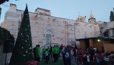Στη Γάζα για πρώτη φορά μετά από χρόνια πολέμου άναψαν το χριστουγεννιάτικο δέντρο