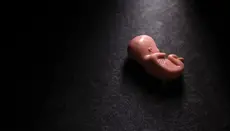 Germany sends €63 million to international abortion organizations – media