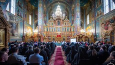 Про те, як Собор УПЦ у Феофанії «перетворився на безчинне зборище»