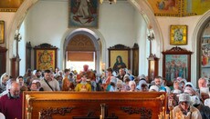 Олександрійська єпархія відзначила 25-річчя прославлення Миколая Іскровського