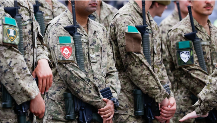 Members of the Canadian Armed Forces Ceremonial Guard. Photo: Postmedia
